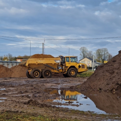 Areną tikimasi pastatyti per trejus metus