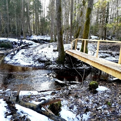 Atnaujino per mišką vedantį pažintinį taką