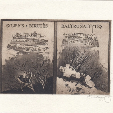 BIBLIOTEKA IR JOS VARDAS: Birutės Baltrušaitytės gyvenimo tąsa Tauragėje 