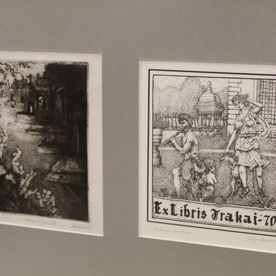 Bibliotekoje eksponuojama paroda sudomins ekslibrisų gerbėjus