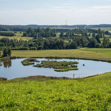 Bilionių seniūnija – lyg deganti žvakė