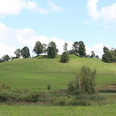 Bilionių seniūnija – lyg deganti žvakė