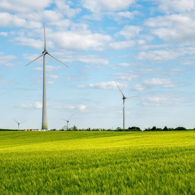 Energetinio efektyvumo švietimo programa įkvėpė Tauragė
