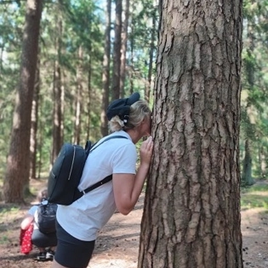 Grįžimas į gamtą: kaip miškas gali padėti mūsų sveikatai