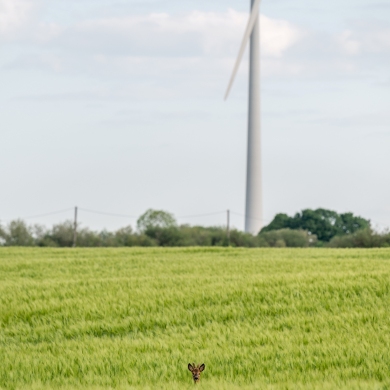 „Ignitis renewables“ kviečia bendruomenes teikti paraiškas finansinei paramai gauti