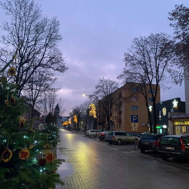 Kalėdų vakarą tauragiškiai grožėjosi miesto eglute