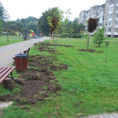 Kartų parke šiąnakt – šernų „viešnagė“
