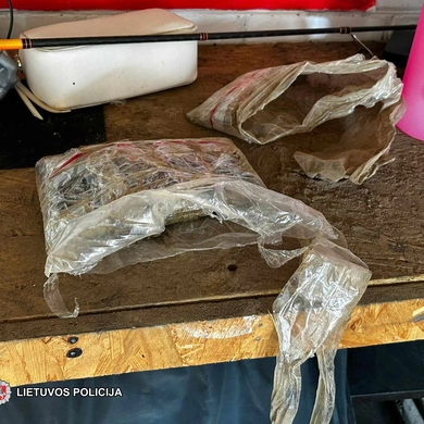 Kratos metu rastas paketas