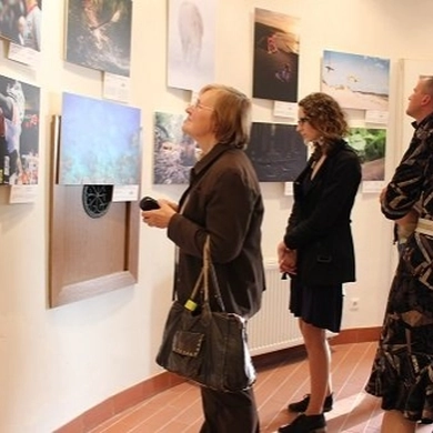 Kviečia apžiūrėti geriausias spaudos fotografijas