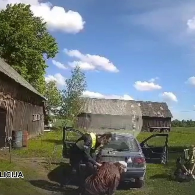 Nepakluso pareigūnams
