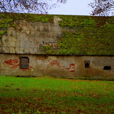 Netolima Viešvilė, žavinti turtinga istorija