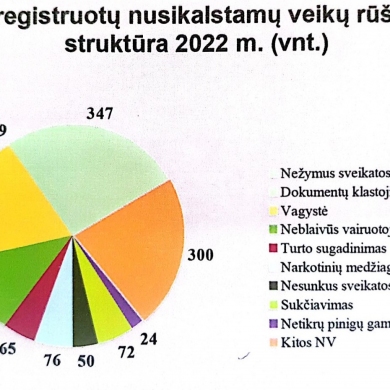 Pareigūnai džiaugiasi: nusikalstamumas Tauragėje sumažėjo