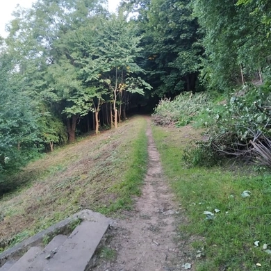 Pradėti Jūros upės pakrantės ir šlaito tvarkymo darbai