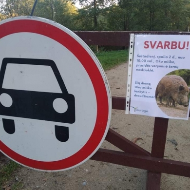 Šeštadienį patekti į Oko mišką nebus galima – vyks varyminė šernų medžioklė