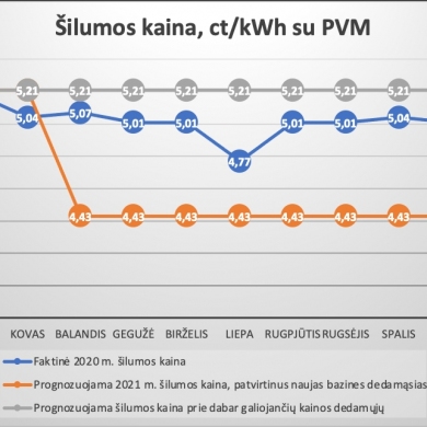 Šildymas brangs: ką galime padaryti, kad mokėtume mažiau?