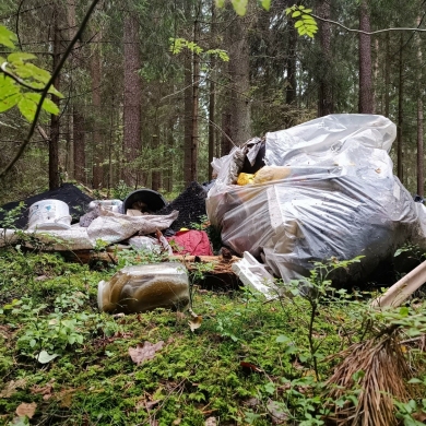 Šiukšlės miške – vis dar miškininkų kasdienybė