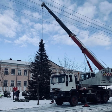 Skaudvilėje pastatyta žaliaskarė, įsikurs ir eglučių alėja