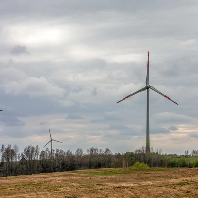 Tauragėje pradeda nemokamas edukacijas apie vėjo energetik