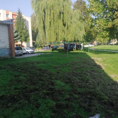 Tauragiškius šiurpina šernų puotos mieste