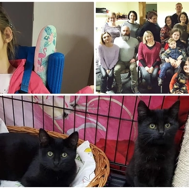 Už šuns sugrąžinimą siūlo 1000 eurų