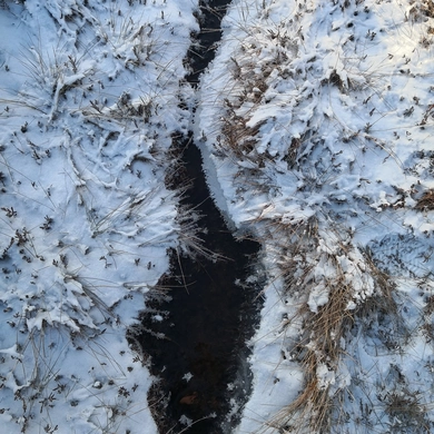 Viešvilės rezervatas kviečia į žiemos nuotykį