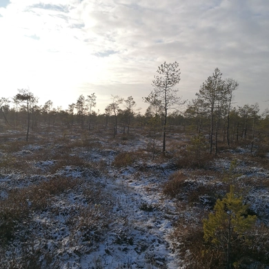 Viešvilės rezervatas kviečia į žiemos nuotykį