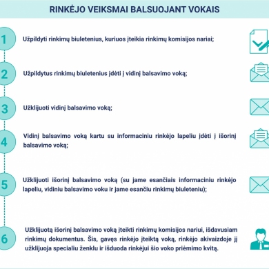 VRK primena: kaip reitinguoti kandidatus ir kaip vyksta balsavimas vokais?