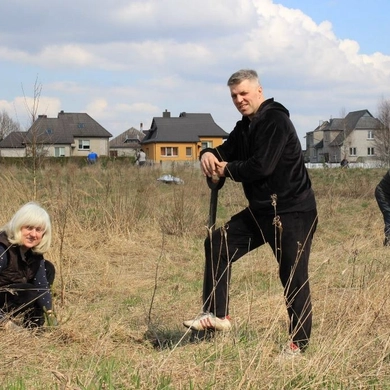 Žalumos niekada nebus per daug: tauragiškiai puošia savo miestą 