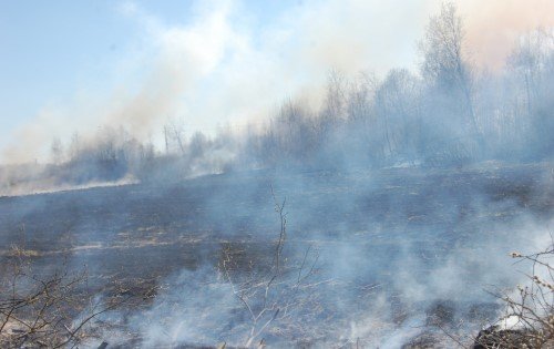 Tauragės savivaldybės nuotrauka