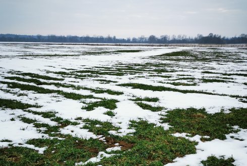 Raimondos Alysienės nuotrauka