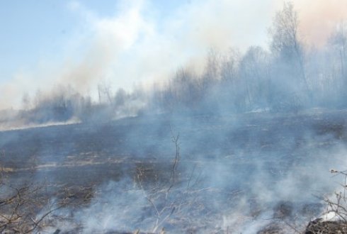 Tauragės savivaldybės nuotrauka