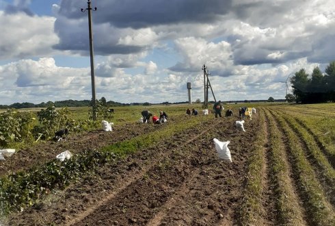 Gretos Savickienės nuotrauka