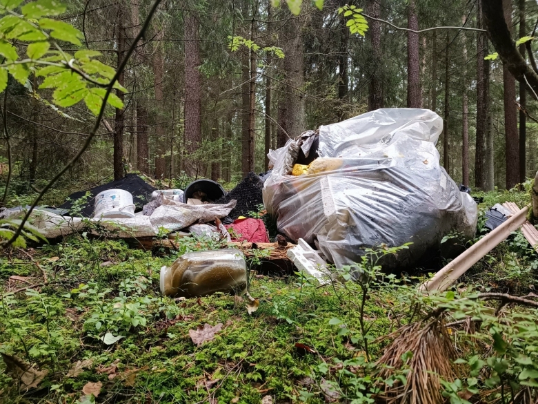 Šiukšlės miške – vis dar miškininkų kasdienybė